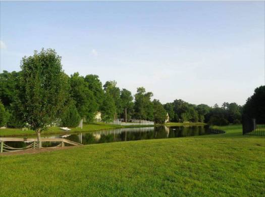 29425900_10215873078326497_8493853862896074752_n